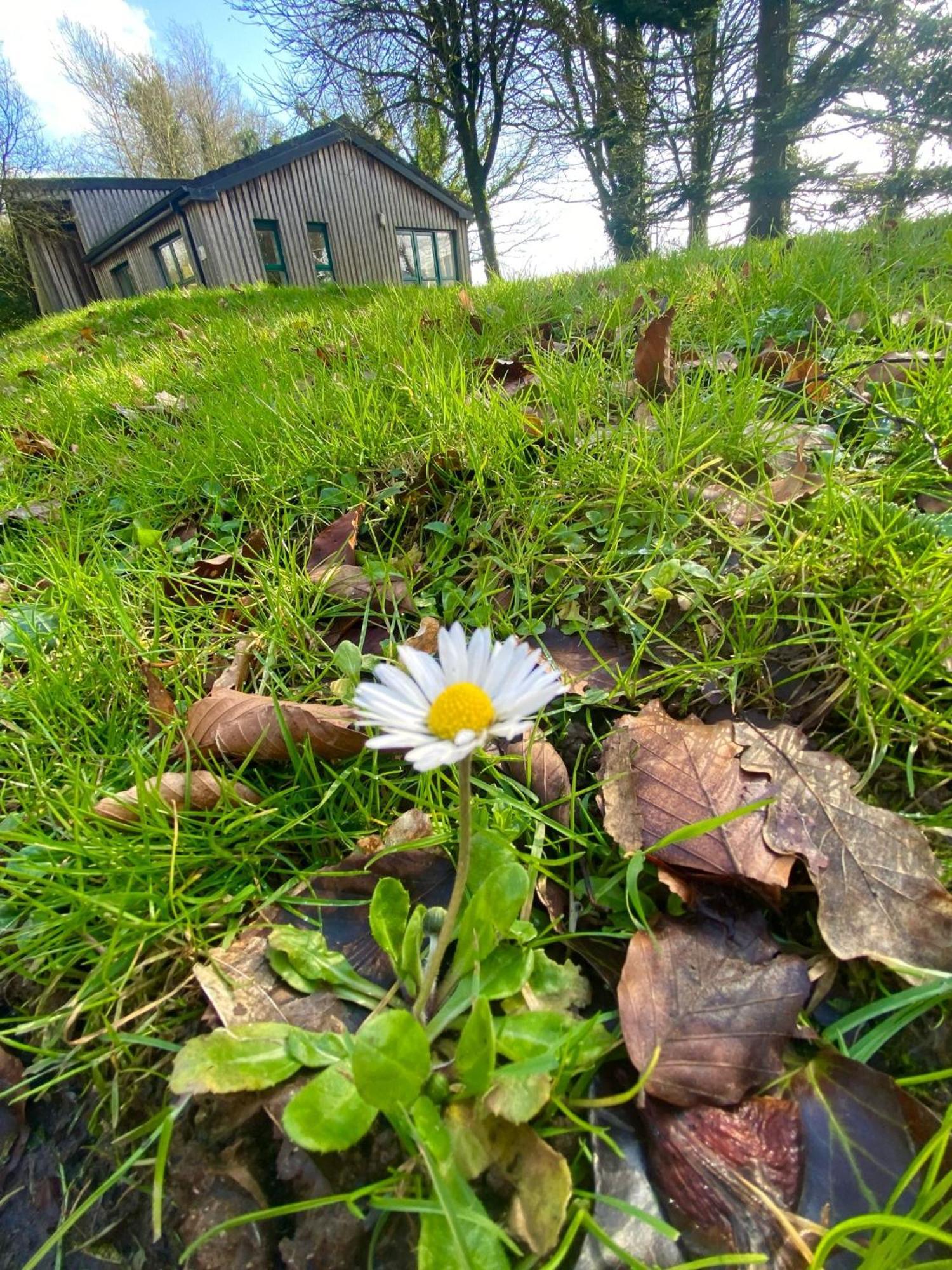 Ballyhoura Mountain Lodges Ballyorgan Экстерьер фото