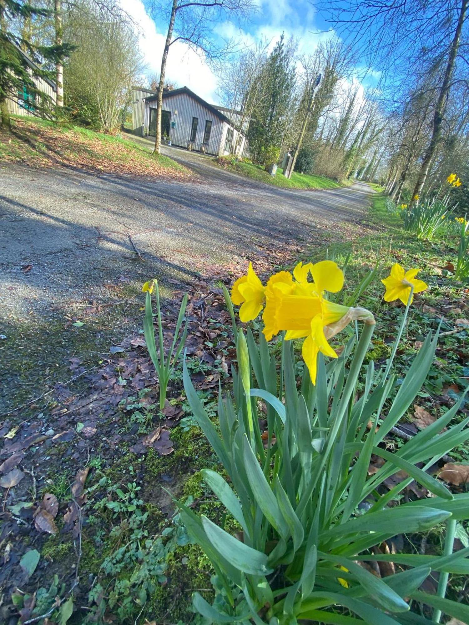 Ballyhoura Mountain Lodges Ballyorgan Экстерьер фото